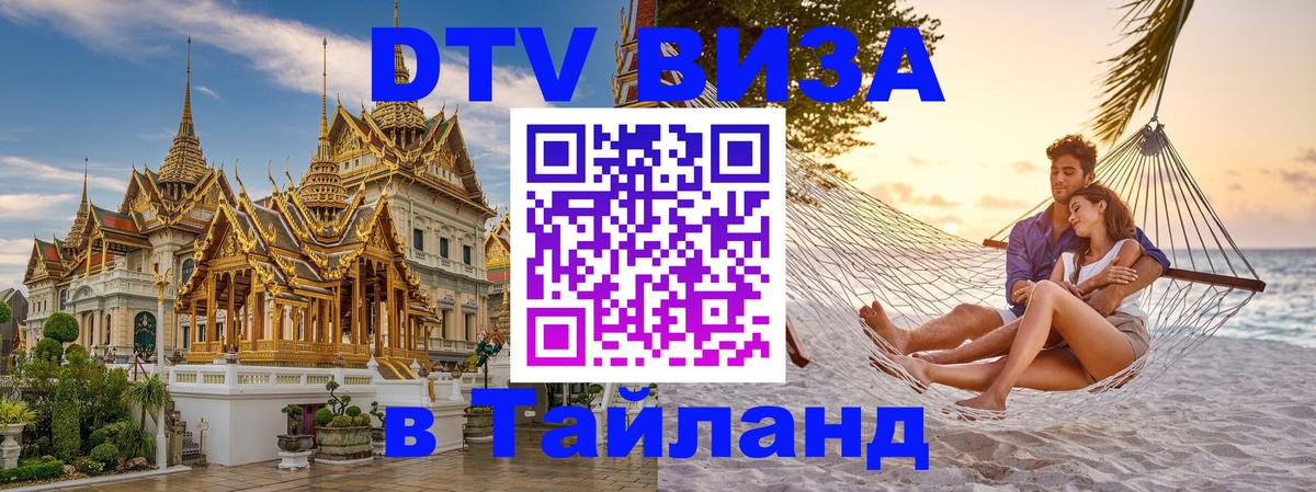 Оформление DTV визы под ключ: стоимость и тарифы, только загранпаспорт - 09.01.2026 